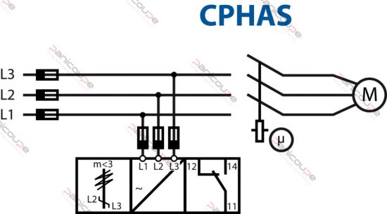 cphas schema-2