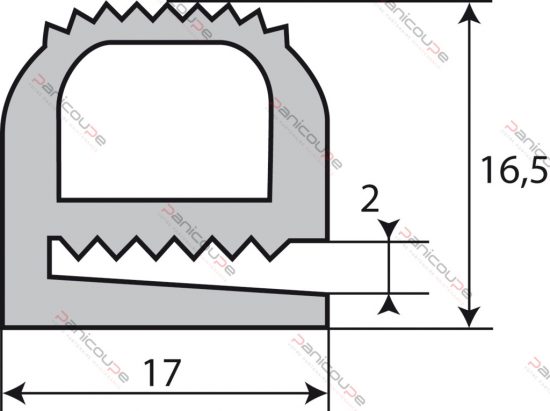 lac schema